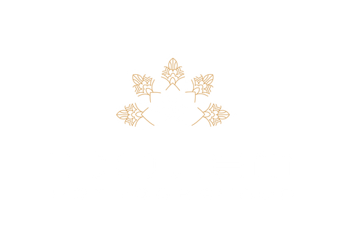 promo.cartes-cadeaux.Idolem